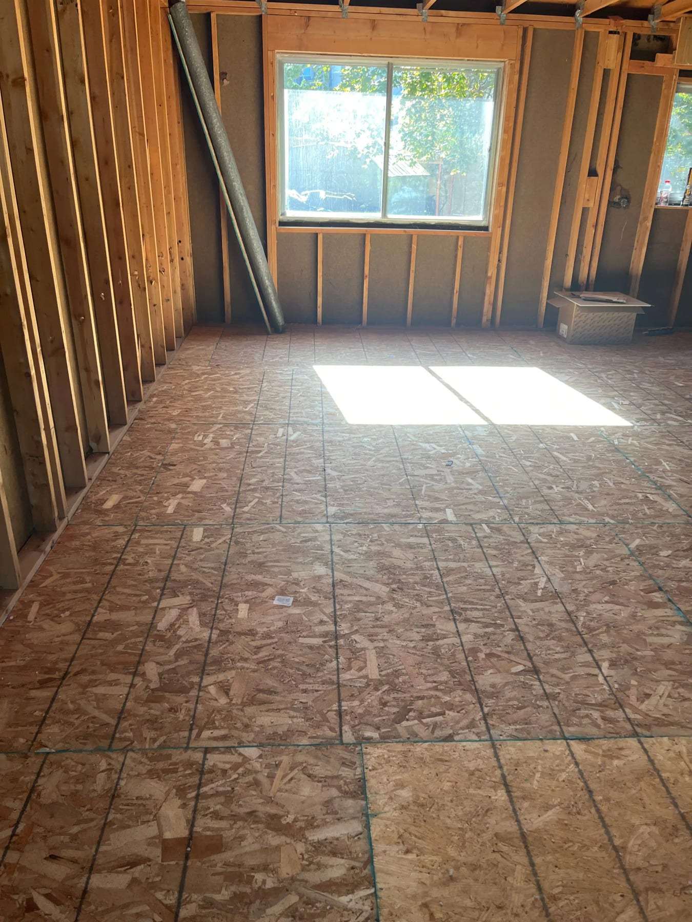 Room stripped to the framing with a new plywood subfloor
